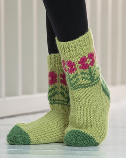 Beskrivning Sockor Karro