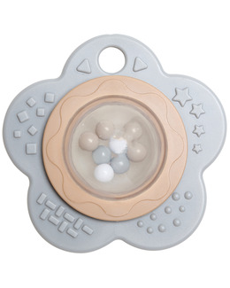 Skallerblomma 1-pack