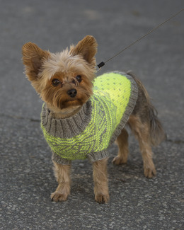 Beskrivning Reflexväst hund