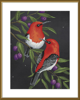 Broderikit Tavla Fåglar